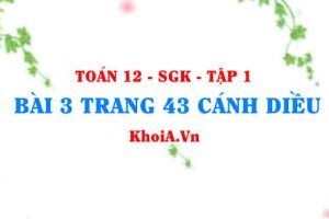 Bài 3 trang 43 Toán 12 tập 1 Cánh Diều